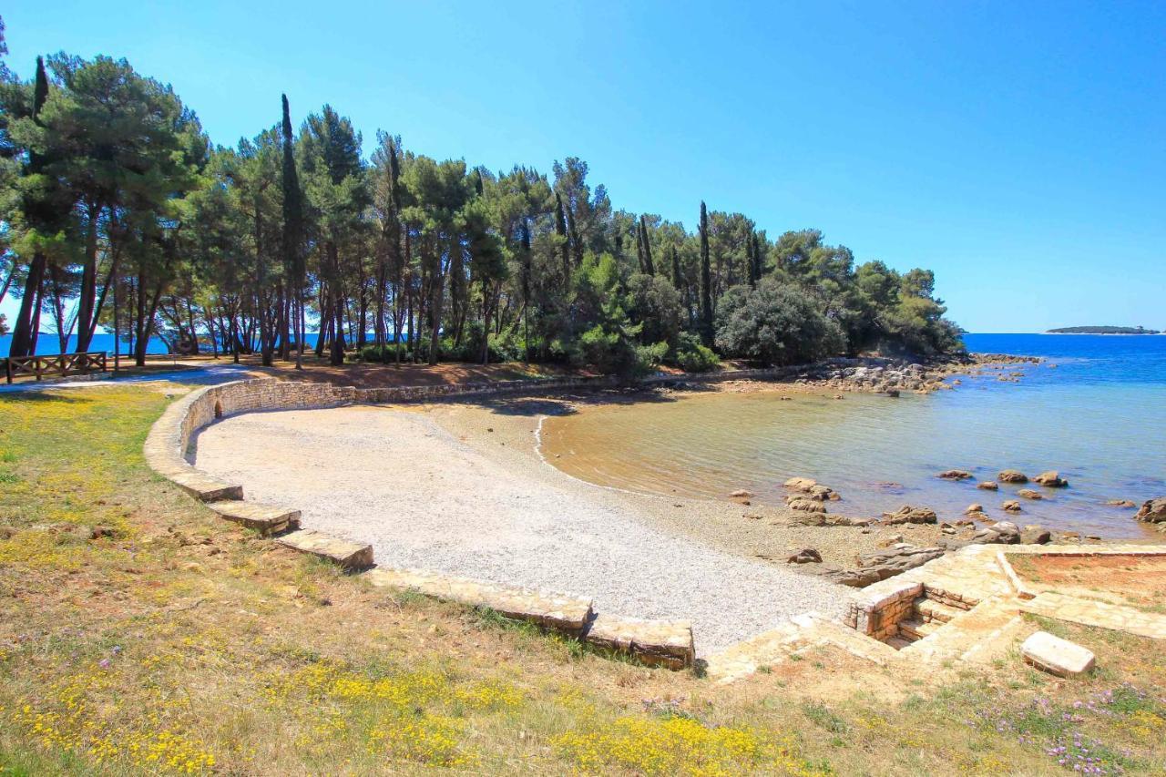 Vila Una With Private Pool Near Rovinj - Open 2022 Ровінсько-Село Екстер'єр фото