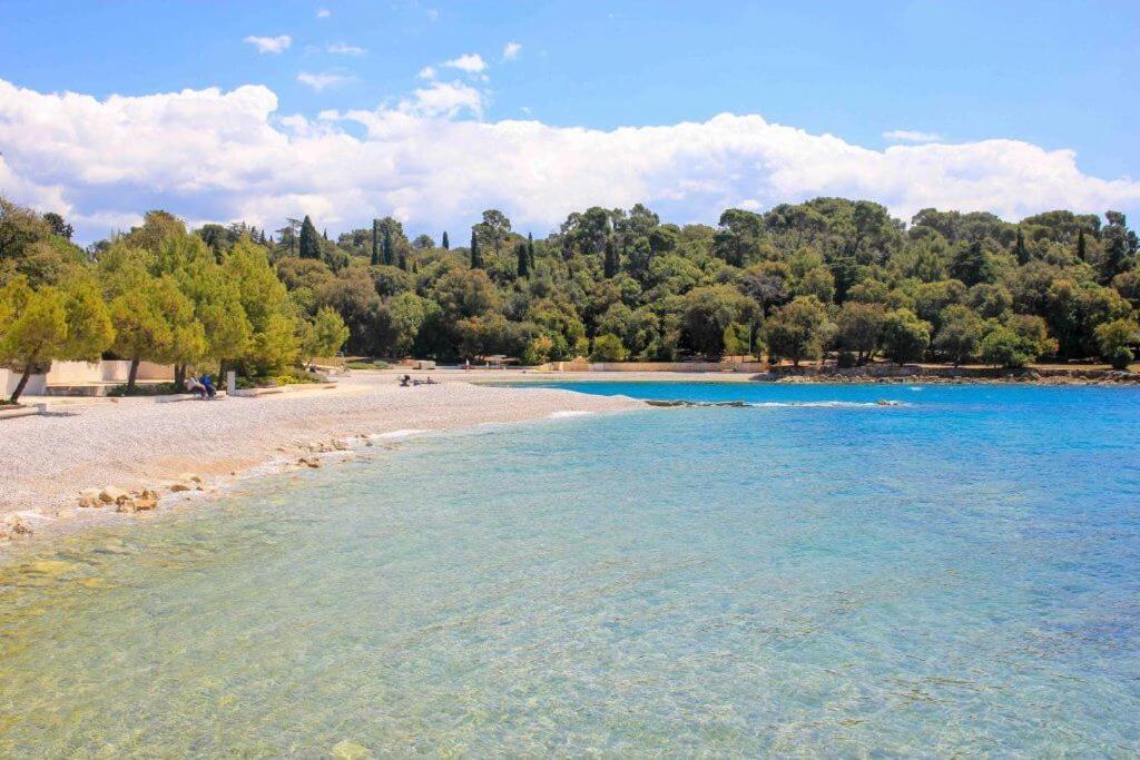 Vila Una With Private Pool Near Rovinj - Open 2022 Ровінсько-Село Екстер'єр фото