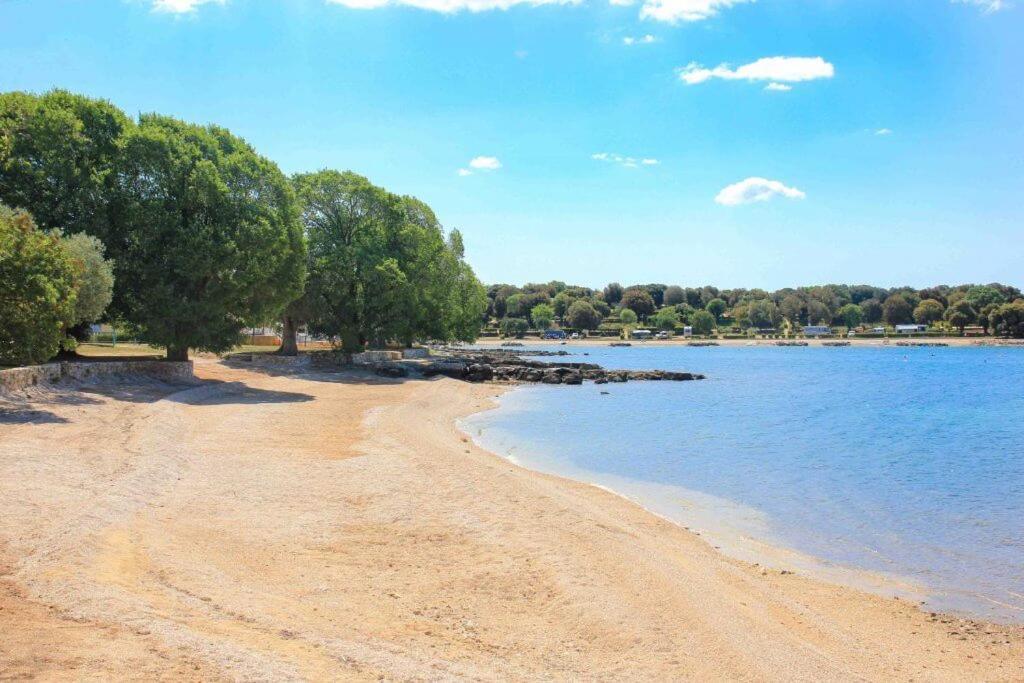 Vila Una With Private Pool Near Rovinj - Open 2022 Ровінсько-Село Екстер'єр фото